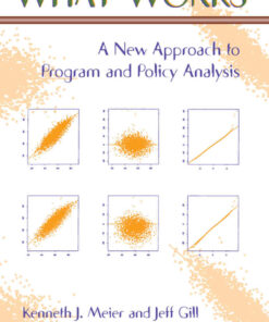 What Works: A New Approach To Program And Policy Analysis, 1st Edition eBook