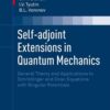 Self-adjoint Extensions in Quantum Mechanics: General Theory and Applications to Schrödinger and Dirac Equations with Singular Potentials eBook