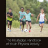 The Routledge Handbook of Youth Physical Activity, 1st Edition eBook