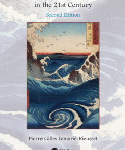 The Navier-Stokes Problem in the 21st Century, 2nd Edition eBook
