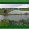 Agroecology and Integrated Farming System, 1st Edition eBook