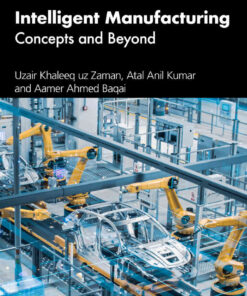 Intelligent Manufacturing: Concepts and Beyond, 1st Edition eBook
