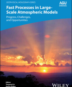 Fast Processes in Large-Scale Atmospheric Models: Progress, Challenges, and Opportunities, 1st Edition eBook