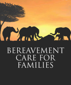 Bereavement Care for Families, 1st Edition eBook