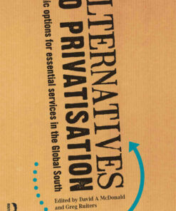 Alternatives to Privatization: Public Options for Essential Services in the Global South, 1st Edition eBook
