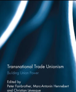 Transnational Trade Unionism: Building Union Power, 1st Edition eBook