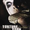 Torture Porn: Popular Horror after Saw eBook