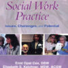 Gerontological Social Work Practice: Issues, Challenges, and Potential, 1st Edition eBook