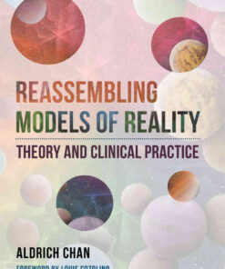 Reassembling Models of Reality: Theory and Clinical Practice eBook