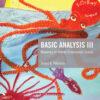 Basic Analysis III: Mappings on Infinite Dimensional Spaces, 1st Edition eBook