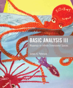Basic Analysis III: Mappings on Infinite Dimensional Spaces, 1st Edition eBook