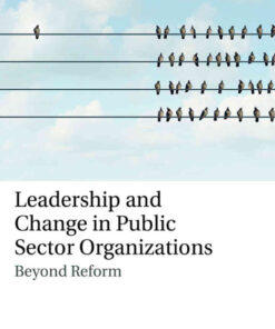 Leadership and Change in Public Sector Organizations: Beyond Reform, 1st Edition eBook