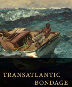 Transatlantic Bondage: Slavery and Freedom in Spain, Santo Domingo, and Puerto Rico eBook