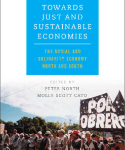 Towards Just and Sustainable Economies: The Social and Solidarity Economy North and South, 1st Edition eBook
