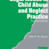 Legal Issues in Child Abuse and Neglect Practice, 2nd Edition eBook