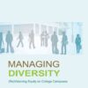 Managing Diversity: (Re)Visioning Equity on College Campuses, 1st Edition eBook