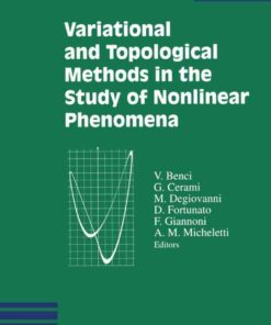 Variational and Topological Methods in the Study of Nonlinear Phenomena eBook