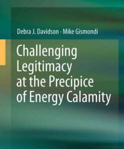 Challenging Legitimacy at the Precipice of Energy Calamity eBook