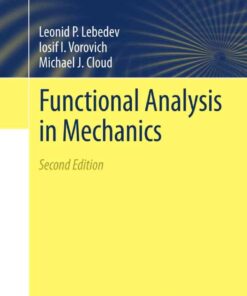 Functional Analysis in Mechanics, 2nd Edition eBook