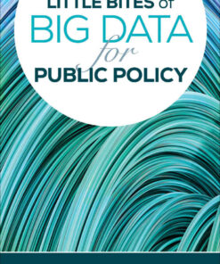Little Bites of Big Data for Public Policy, 1st Edition eBook