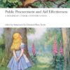 Public Procurement and Aid Effectiveness: A Roadmap under Construction, 1st Edition eBook