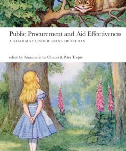 Public Procurement and Aid Effectiveness: A Roadmap under Construction, 1st Edition eBook