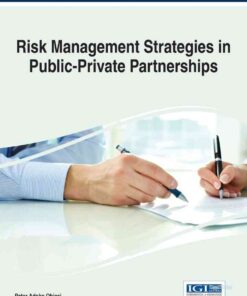 Risk Management Strategies in Public-Private Partnerships eBook