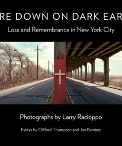 Here Down on Dark Earth: Loss and Remembrance in New York City, 1st Edition eBook