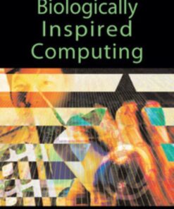 Recent Developments in Biologically Inspired Computing eBook