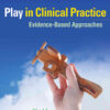 Play in Clinical Practice: Evidence-Based Approaches eBook