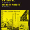 The National Imaginarium: A History of Egyptian Filmmaking eBook