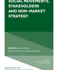Social Movements, Stakeholders and Non-Market Strategy eBook