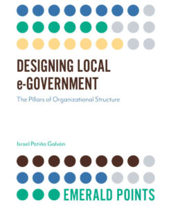 Designing Local e-Government: The Pillars of Organizational Structure eBook