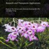 Dendrobium nobile: Research and Therapeutic Applications eBook