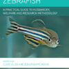 Zebrafish: A Practical Guide to Husbandry, Welfare and Research Methodology eBook