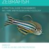 Zebrafish: A Practical Guide to Husbandry, Welfare and Research Methodology eBook