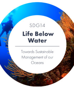 SDG14 - Life Below Water: Towards Sustainable Management of our Oceans eBook