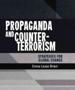 Propaganda and counter-terrorism: Strategies for global change eBook