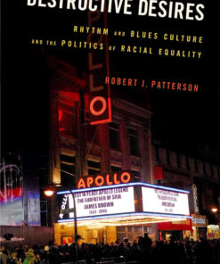 Destructive Desires: Rhythm and Blues Culture and the Politics of Racial Equality eBook