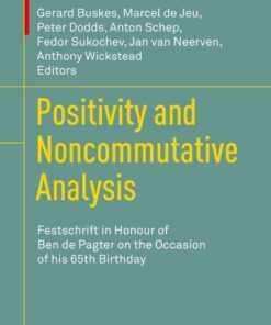 Positivity and Noncommutative Analysis: Festschrift in Honour of Ben de Pagter on the Occasion of his 65th Birthday eBook