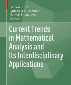 Current Trends in Mathematical Analysis and Its Interdisciplinary Applications eBook