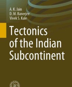Tectonics of the Indian Subcontinent eBook