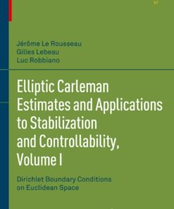 Elliptic Carleman Estimates and Applications to Stabilization and Controllability, Volume I: Dirichlet Boundary Conditions on Euclidean Space eBook