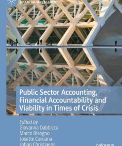 Public Sector Accounting, Financial Accountability and Viability in Times of Crisis eBook