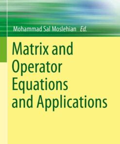 Matrix and Operator Equations and Applications eBook