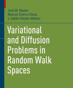 Variational and Diffusion Problems in Random Walk Spaces eBook