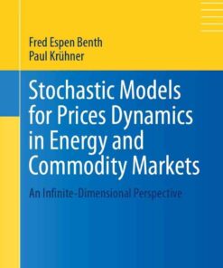 Stochastic Models for Prices Dynamics in Energy and Commodity Markets: An Infinite-Dimensional Perspective eBook