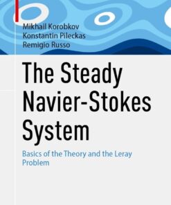 The Steady Navier-Stokes System: Basics of the Theory and the Leray Problem eBook