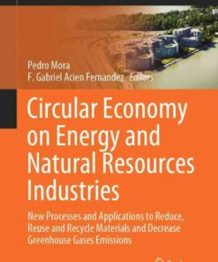 Circular Economy on Energy and Natural Resources Industries: New Processes and Applications to Reduce, Reuse and Recycle Materials and Decrease Greenhouse Gases Emissions eBook