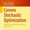 Convex Stochastic Optimization: Dynamic Programming and Duality in Discrete Time eBook